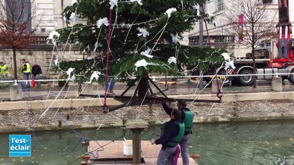 Des sapins installés sur les quais de Seine à Troyes