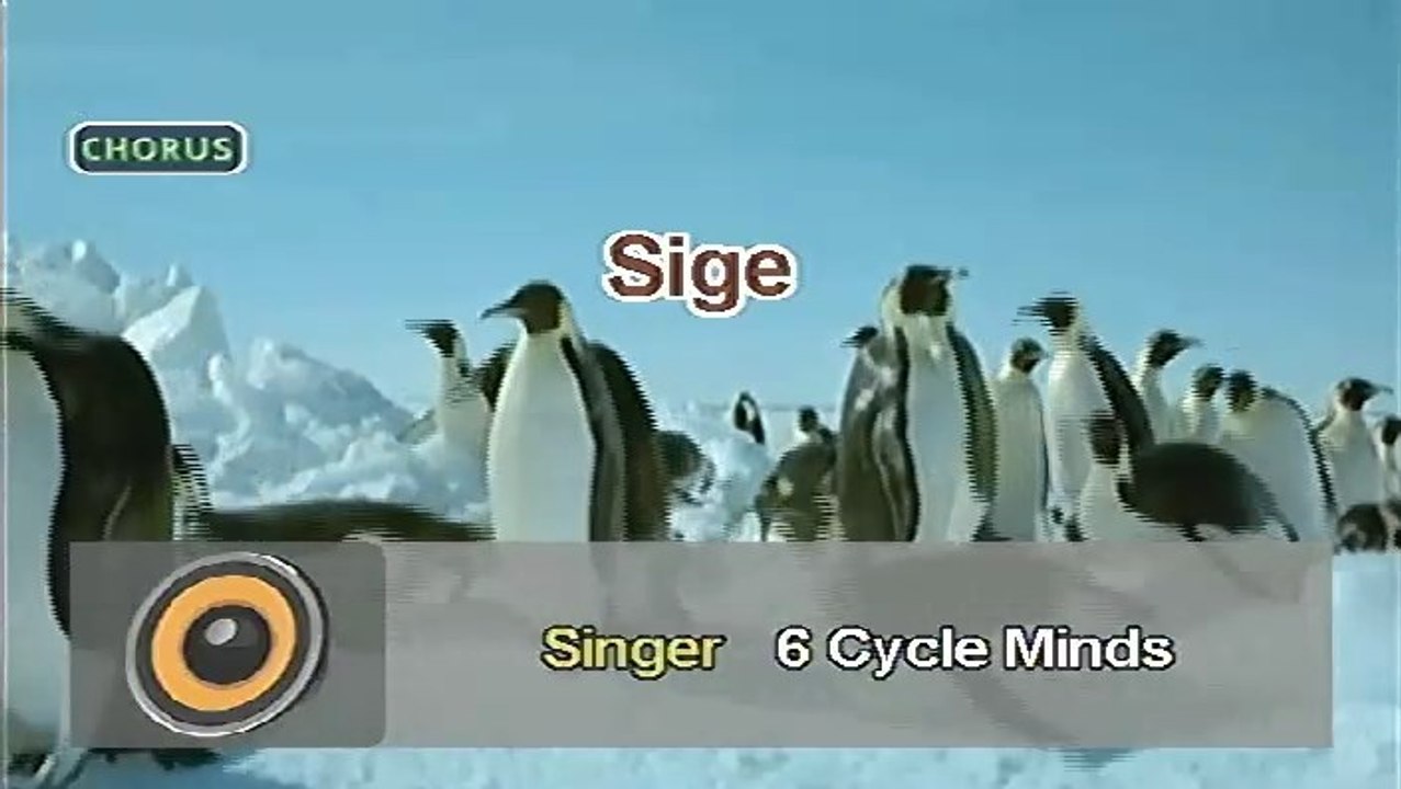 Sige - 6 Cyclemind