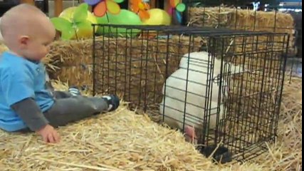 Hindiden Ödü Kopan Bebek