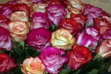 send flowers Kharkiv