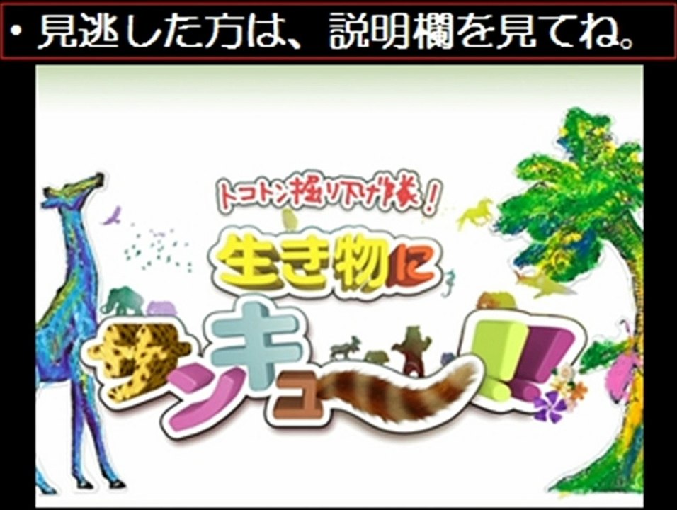 トコトン掘り下げ隊生き物にサンキュー 11 26 11月26日 無料動画 動画 Dailymotion