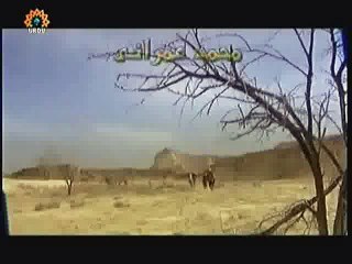 Hazrat Owais Qarani Episode 4