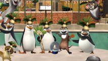 WATCH Penguins of Madagascar MOVIE STREAMING ONLINE