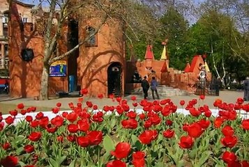 Send Flowers Nikolaev