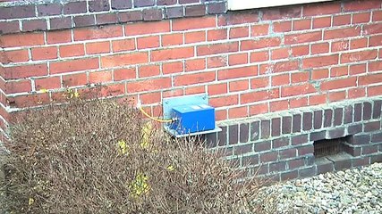 Ik wordt hier heel blij van - RTV Noord