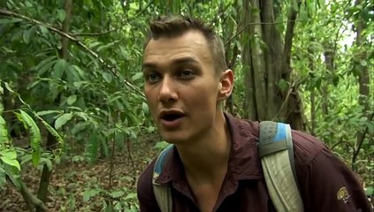 BBC - Karanlıkta 1 Orta Amerika Ormanları 2012