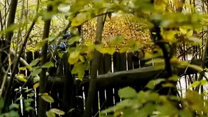 Karınca Çocuk - Fragman