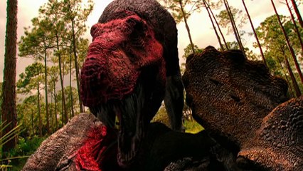 You Think You Know Dinosaurs - Think Again!