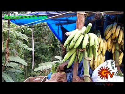 sakhti(sun tv)-27 Nov 2014-pt2