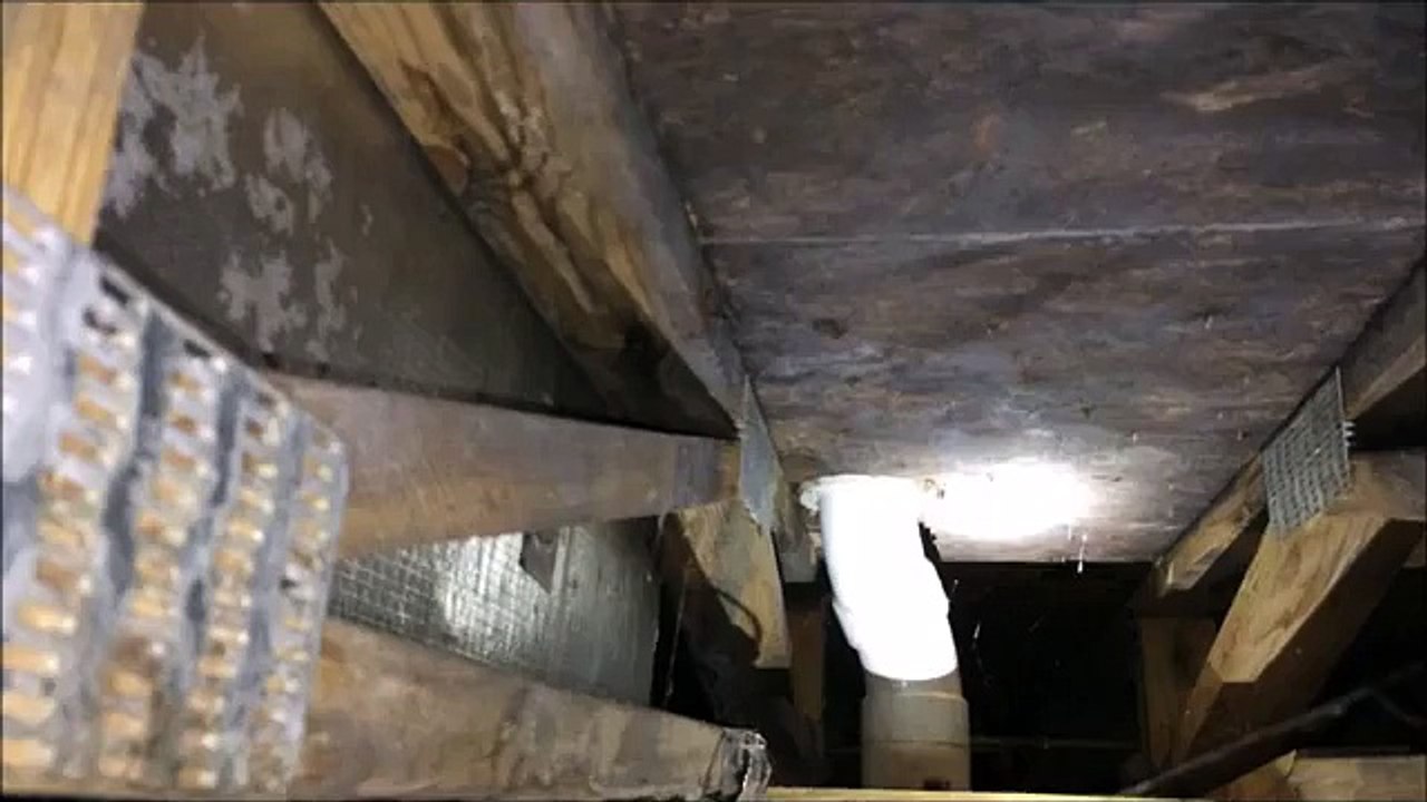 Nashville Home Inspector finds Crawlspace Issues Galore