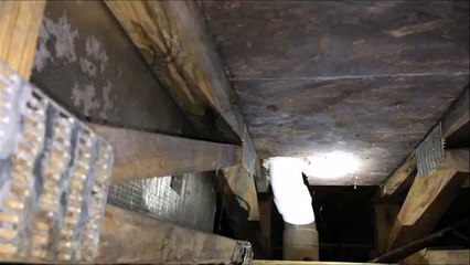 Nashville Home Inspector finds Crawlspace Issues Galore