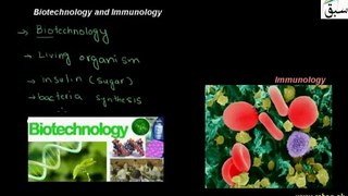 Biotechnology, Immunology