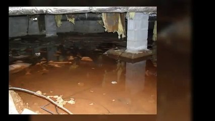 A Home Inspector Edmonton Reveals Basement Horrors