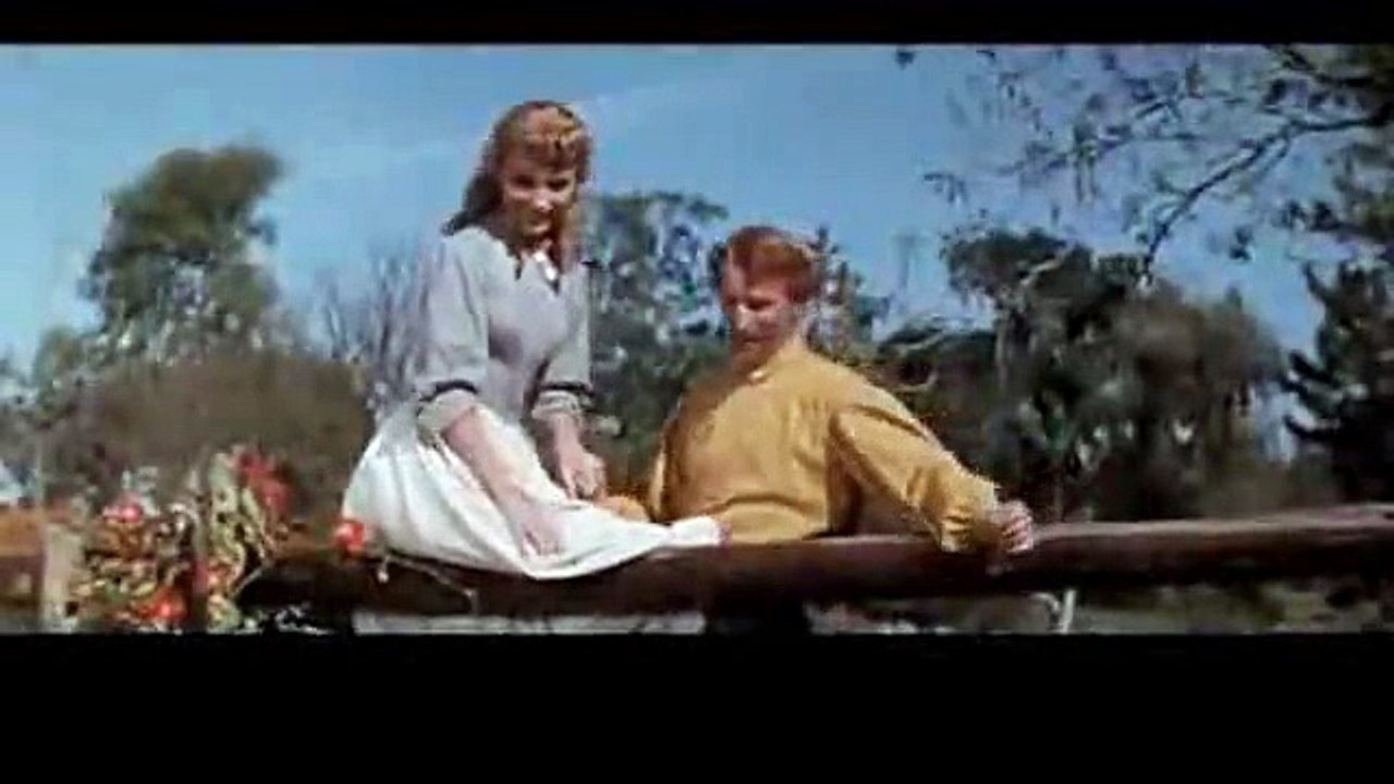 Yedi Kardeşe Yedi Gelin - Fragman