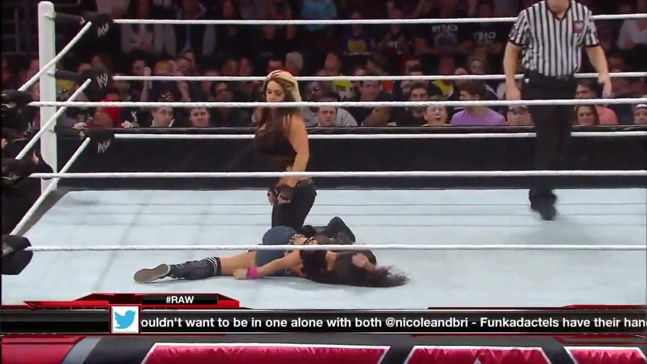AJ Lee vs. Kaitlyn