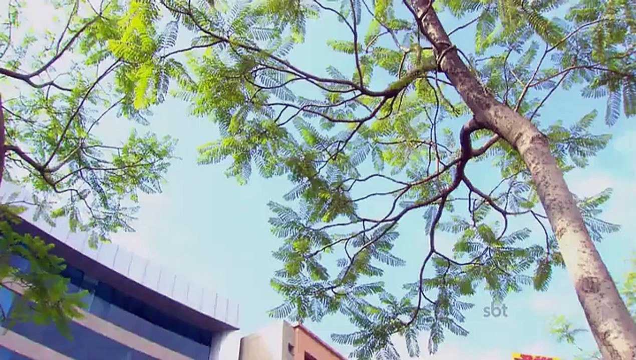 Sortilégio - Capítulo 24 - 27/11/14 (Dublado - Completo - HDTV)