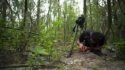 Our world, our sea Please clean Let us assume