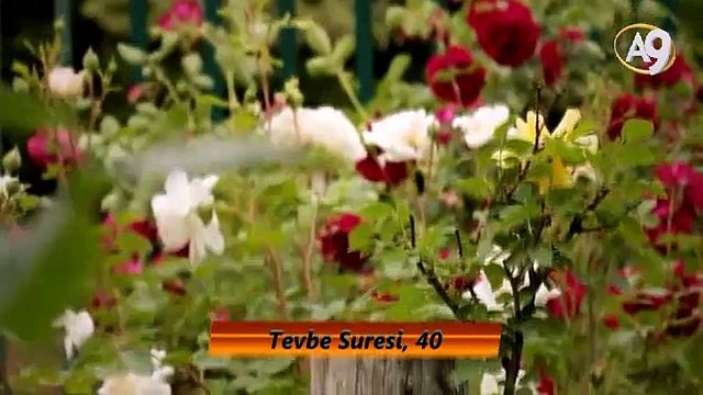 Peygamber Efendimiz (sav)'in Güzel Ahlakı