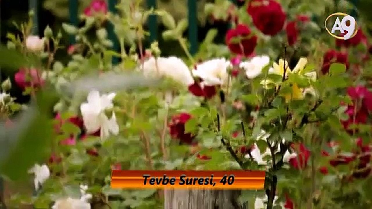 Peygamber Efendimiz (sav)'in Güzel Ahlakı