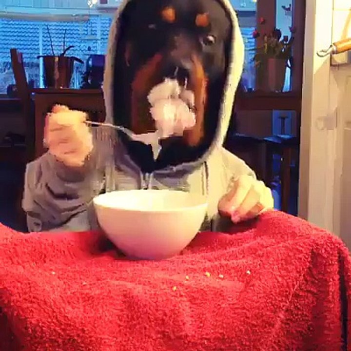 dog-father !!!