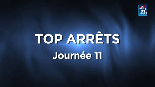 Le Top Arrêts de la 11ème journée de D1 LNH, saison 2014-2015