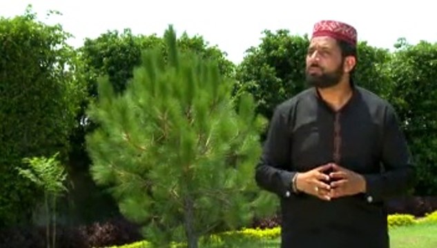 Ek ma he nahi un per qurban zamana ha peer naseer ul din by abid rauf