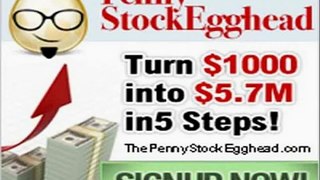 Penny Stock Egghead Review + GET SPECIAL DISCOUNT + BONUS