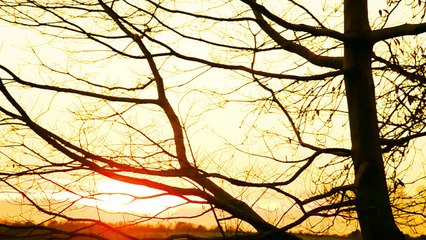Sunsets & Wildlife 2014