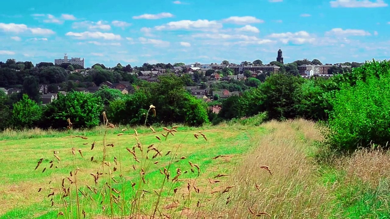 On a Summers day 2014