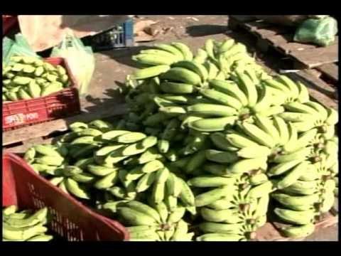 O POVO NOTÍCIAS | 30.08.2014 | COMPLETO