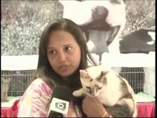 O POVO NOTÍCIAS | 05.04.2014 | GATEIROS