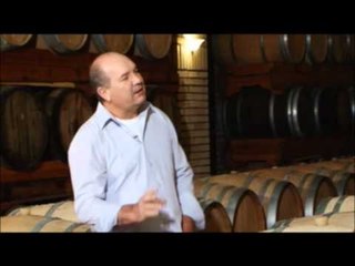 Aprenda com o Chef  Processo de Vinificação