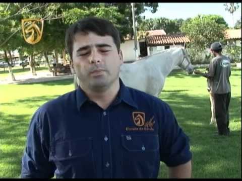 Circuito do Cavalo 090811