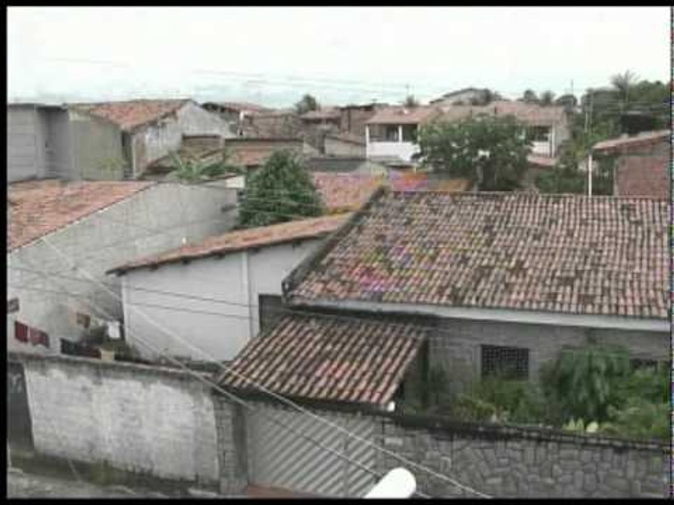 Homens do exército no combate a dengue