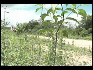 Studio News 21/03/11 - 1º ETAPA RALLY no CE