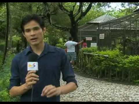 VT FERIAS ECOLOGICAS