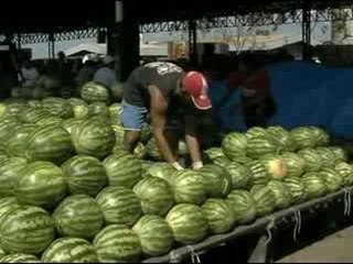 VT - Queda no Preço das Frutas