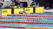 Natación - Los técnicos americanos apoyan el regreso de Phelps