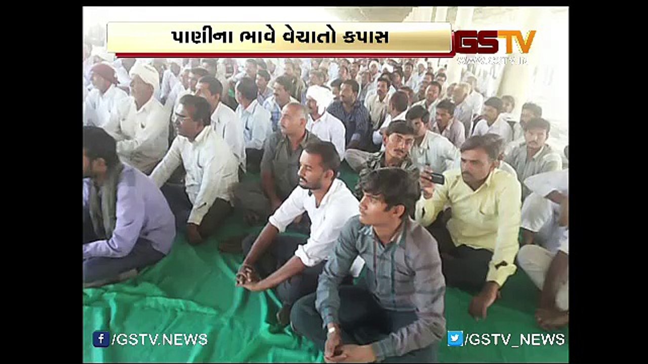 મોડાસા અને મહેસાણામાં ખેડૂતોને કપાસના પોષણક્ષમ ભાવ ન મળતા ભારે રોષ