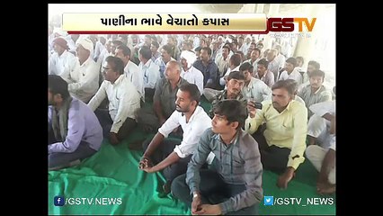 મોડાસા અને મહેસાણામાં ખેડૂતોને કપાસના પોષણક્ષમ ભાવ ન મળતા ભારે રોષ