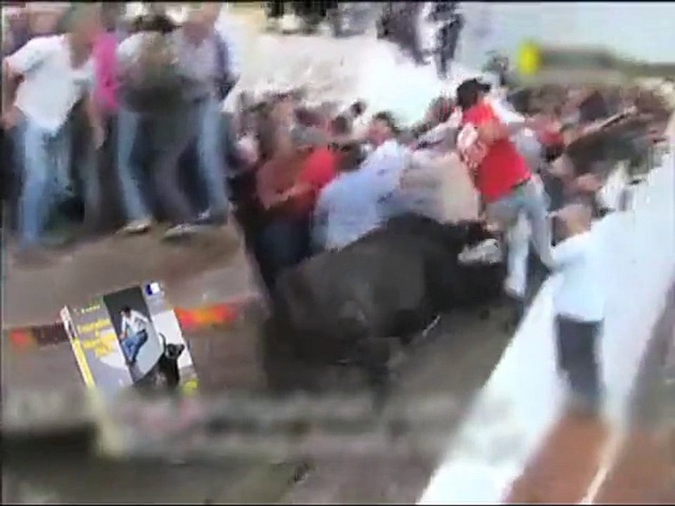 Enraged Bull Leaps into crowd