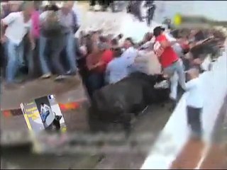 Enraged Bull Leaps into crowd