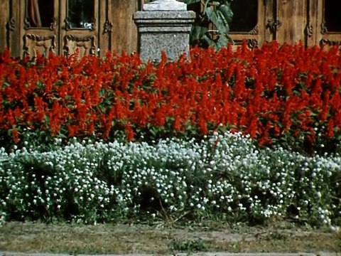 Волшебная сила искусства