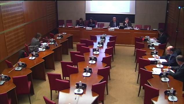 Audition de M. Laurent Lesnard, professeur à l’Institut d’études politiques de Paris - Jeudi 27 Novembre 2014
