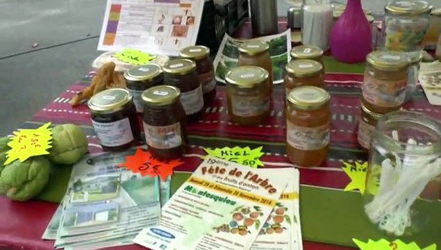 LES NEWS DOMINICALE DE MICHOU64 W-D.D. - 22 NOVEMBRE 2014 - IDRON - LE SAMEDI C'EST JOUR DE MARCHE.