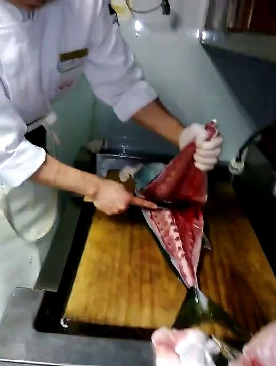 Amazing Shark