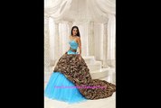 Leopard and Organza Beading Decorate Sweetheart Neckline Exquisite Style For 2013 Quinceanera Dress ZYLJ91403PRT
