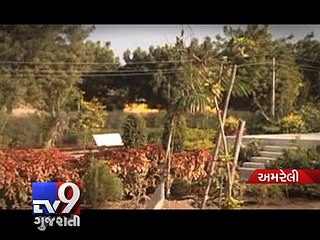 Sansad Adarsh Gram Yojna: MP Naranbhai Kachhadia adopts 'developed' Akala Village, Amreli - Tv9 Gujarati