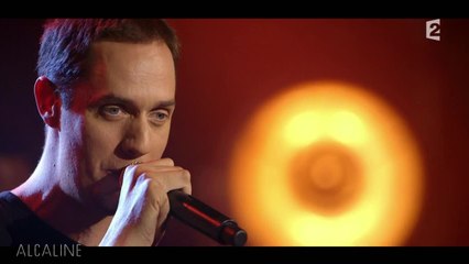 Alcaline, le Concert : Grand Corps Malade - Funambule en live