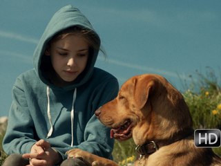 Fehér Isten: Trailer HD OV ned ond